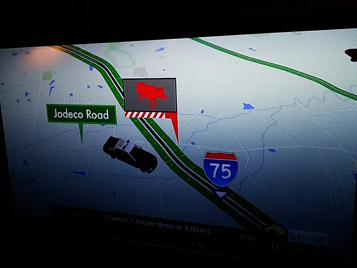 MarlinD327's tweet photo. No offense, but @wsbtv that's a pic of a cow, not a tiger.
#graphicsdepartment https://t.co/vqHhQpzabj