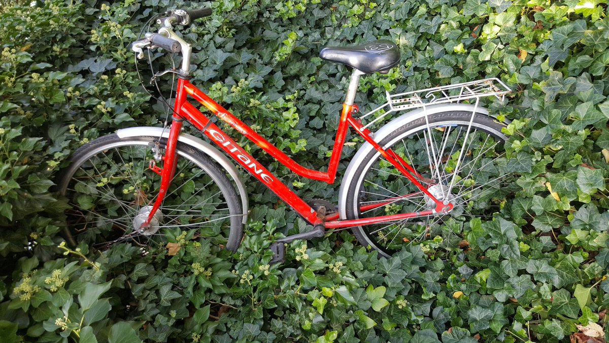 Guerilla gardening with trash bikes at #strasbourg
-
Quand le vélo s’impose dans les jardins de Strasbourg !

ibikestrasbourg.com/2017/09/decore…