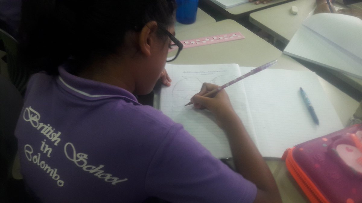 BJshumanities's tweet image. .@BJshumanities #Yr6 D identifying the features of a mountain  #engaged #fungeography