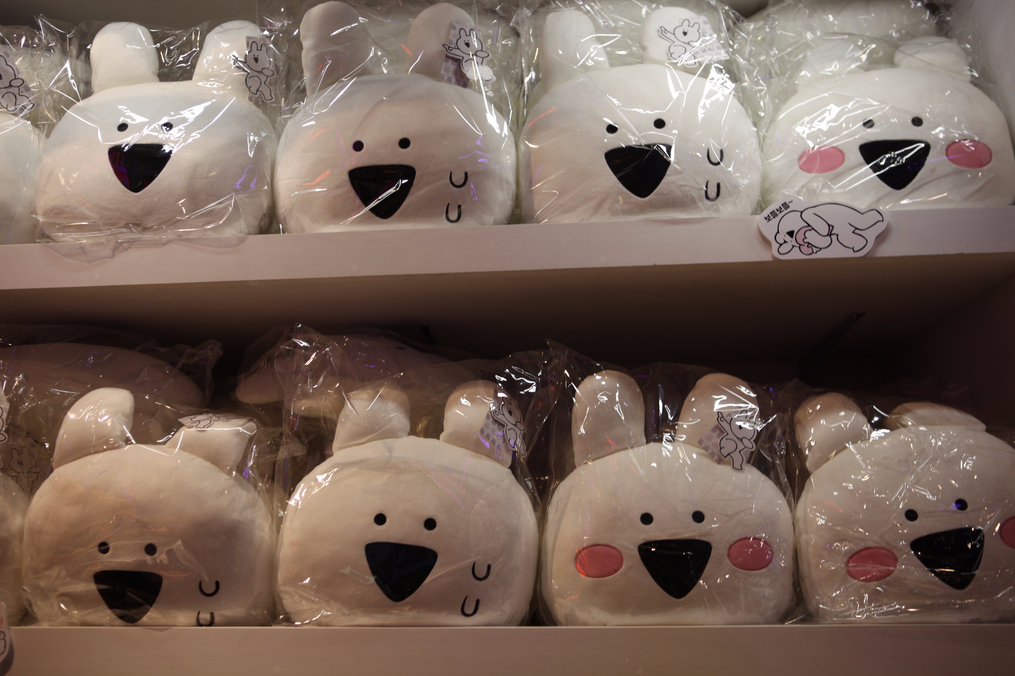 Korean shop rabbit plush