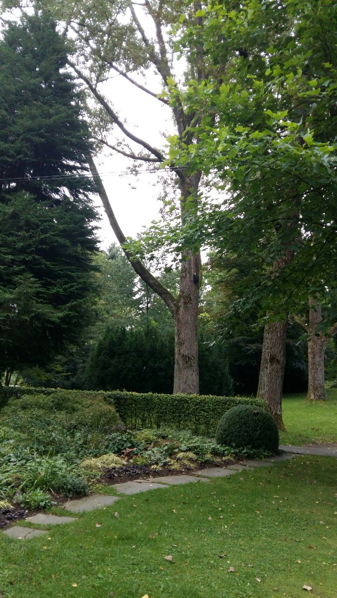 PariLipperts's tweet image. On #mountain late last night, I'm up early, on #joggingpath this morning, #leaves are falling, #season is changing #nothinglastsforever