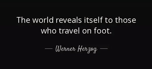 Happy Birthday to Werner Herzog. 