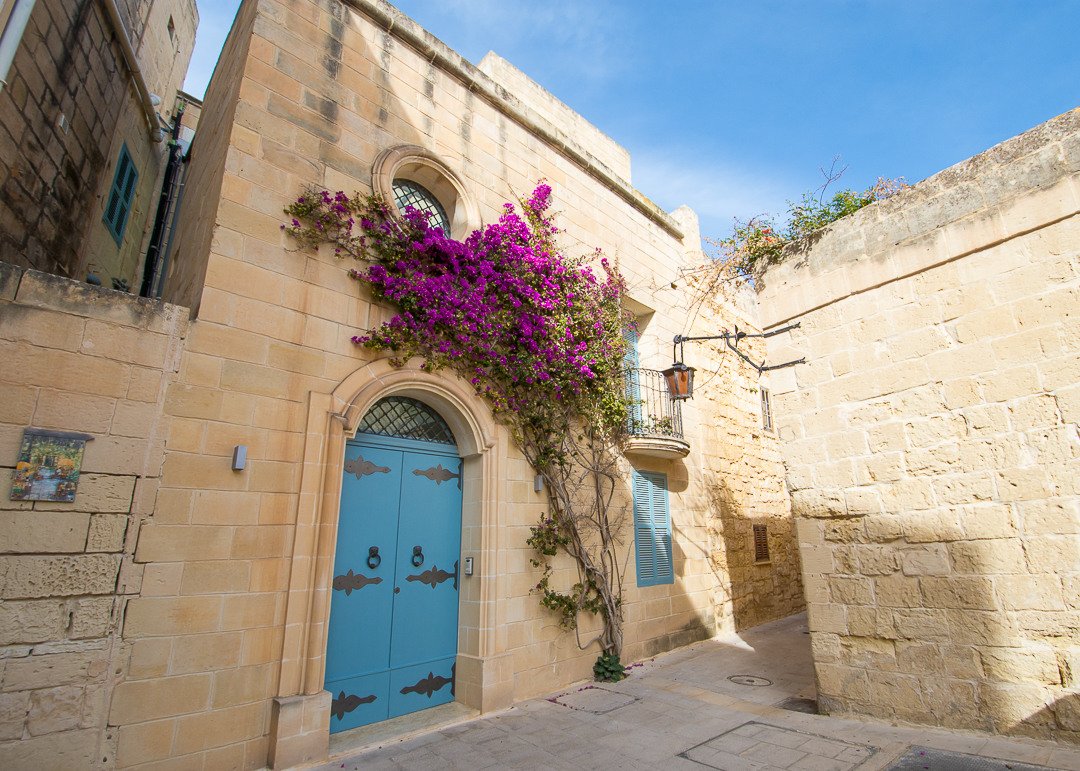 IELS_Malta's tweet photo. Experience the former capital city of Malta and dive into the history of this spectacular ancient city.  Join us tomorrow 😎
#ielsmalta https://t.co/tIpAmIw0xh
