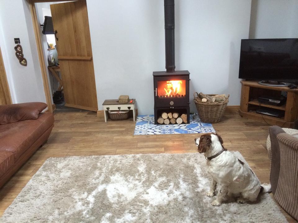 DecoHeat's tweet photo. Because man’s best friend deserves nothing less this winter, right @penguinstoves?! 
🐶🏡 
#DogsOfTwitter https://t.co/vfi99W6ssE