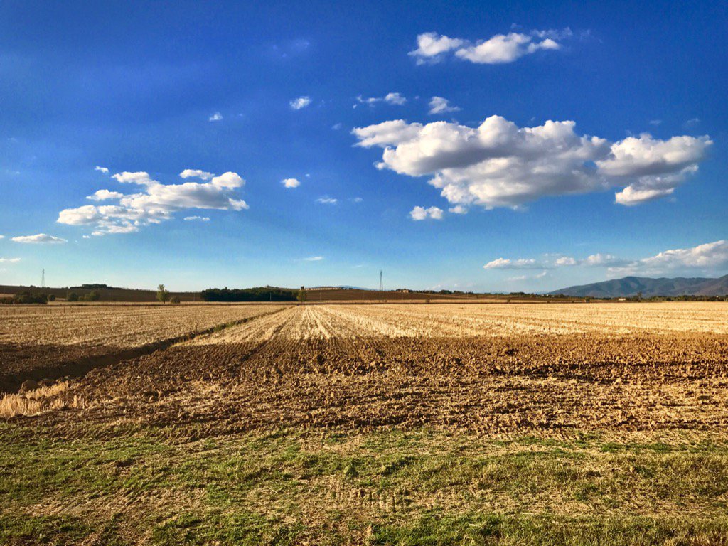 PGista's tweet image. 