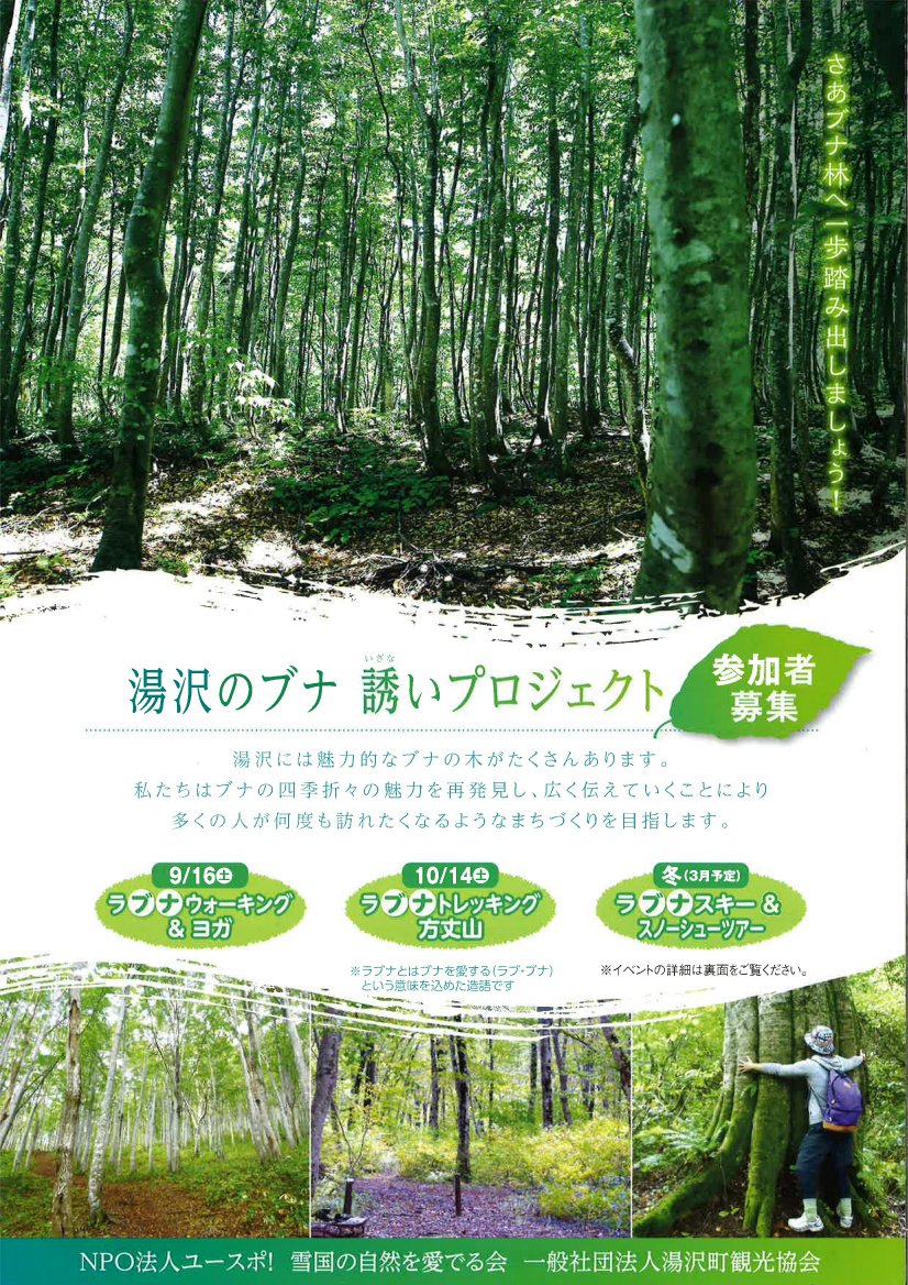 湯沢町観光協会 公式 美しいブナ林の中で身も心もリフレッシュ そんなイベントのご案内です T Co Tofptrisfg 越後湯沢 ブナ林 ヨガ トレッキング 登山 自然 大自然 リフレッシュ 癒し E Yuzawa T Co 33hwaasu9u