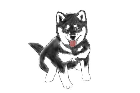 黒柴のtwitterイラスト検索結果 黒柴のtwitterイラスト検索結果