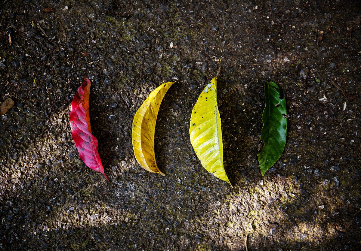 WrexhamUni's tweet photo. NEWS: Ecosystems talk on Weds 11 Oct launches 2017/18 @GlyndwrUni Public Lecture Series. Find out more and book now https://t.co/bz1WbtfxNb https://t.co/yCI7meyTE5