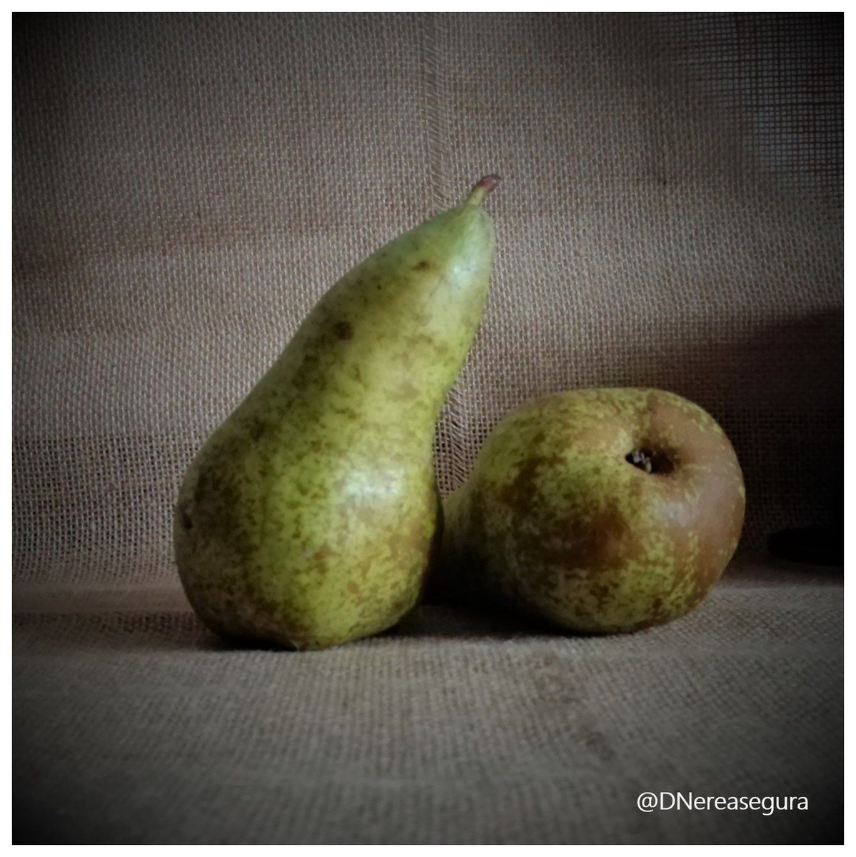 elikabide's tweet photo. Eres la #PERA 🍐
#txermen #madari #udare #poire #pear
Zuhaitzetik ahosabaira / Del árbol al paladar. Eskerrik asko #Pericolo's https://t.co/iWuoQc7IRg