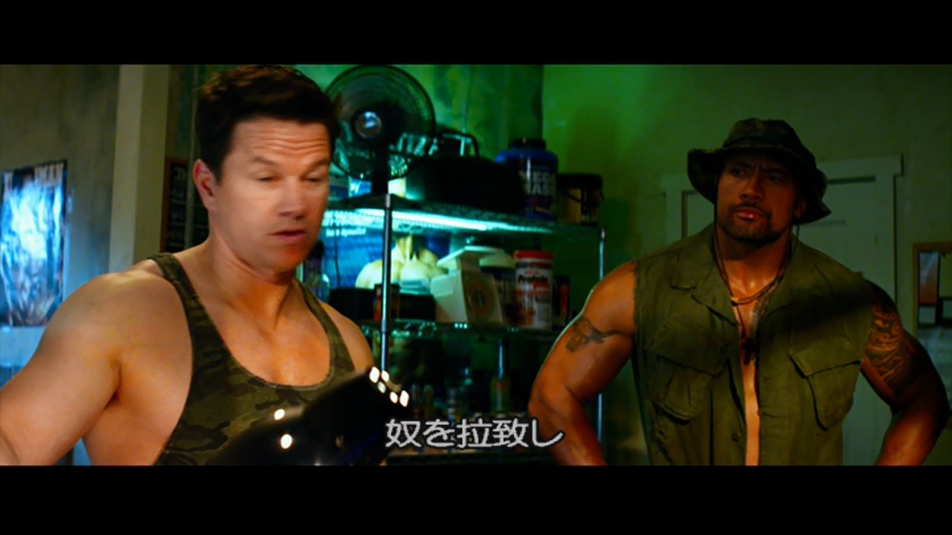 知的風ハット サメ映画大全 脳筋三人の凶悪犯罪を描いた 実話に基づく作品 ペイン Amp ゲイン 史上最低の一攫千金 は 主役の脳筋三人が本当に脳筋過ぎて 残念ながら実話 これでもまだ実話 とか話の途中でたまにテロップが入るのが面白い脳