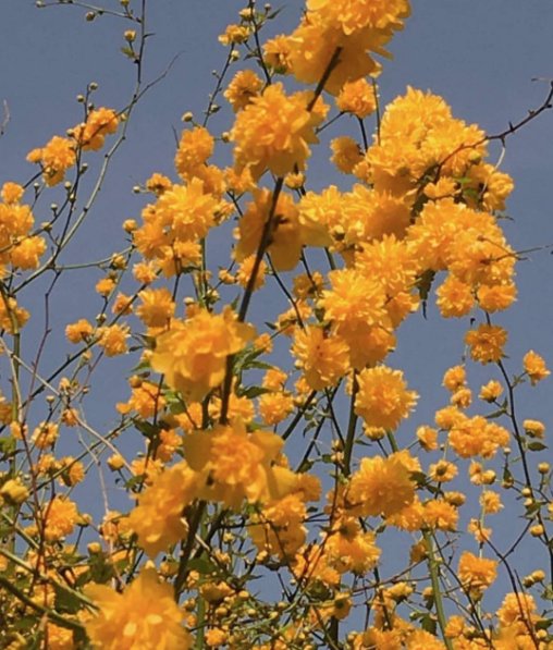 Treat yourself and come down to The Peel Boutique for the ultimate express peel 🌼