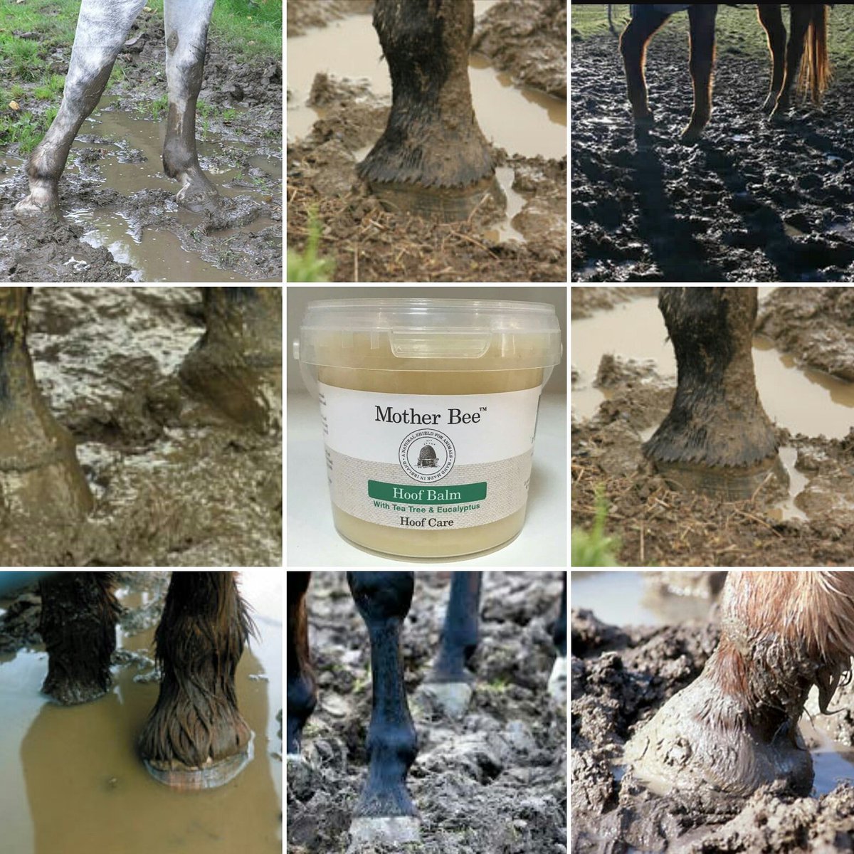 Kick winter hoof problems to the curb with <a href="/Mother_Bee/">Mother Bee</a> Hoof Balm motherbeeonline.co.uk/shop/hoof-balm ⛆