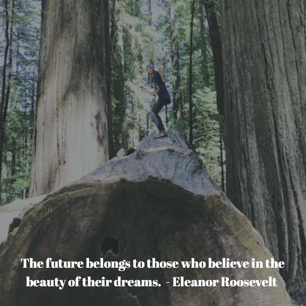 CindyPEntrekin's tweet photo. Let your dreams be your guide! #MyFutureMyVision #WednesdayWisdom #wednesdaymotivation https://t.co/shW31NLHu6