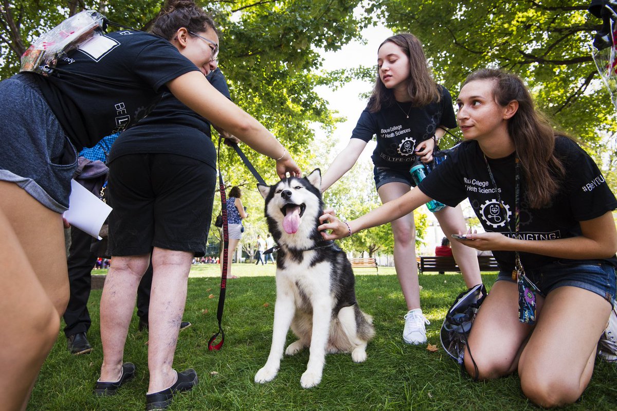 KhouryCollege's tweet image. Have a great first day of classes everyone! #GoHuskies #HuskyPride