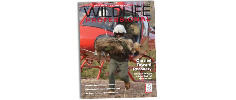 Announcing the new issue of The #Wildlife #Professional. #TWS #TWP #conservation #sciencemanagement ow.ly/cH3C30eVqjR