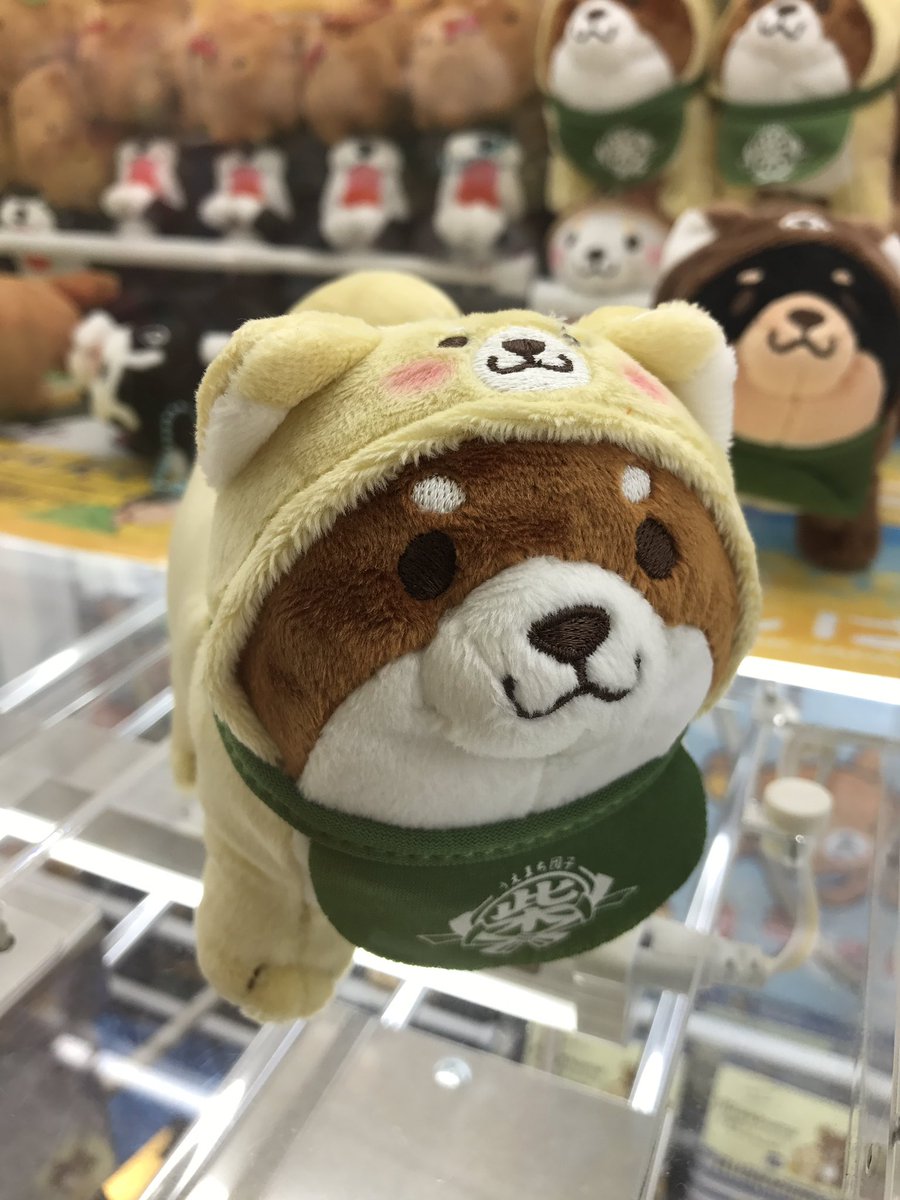モナコ吉祥寺 Pa Twitter 忠犬もちしばお友達なりきりミニぬいぐるみ入荷しました これはとても可愛いですよー うめ さくらは大人気です 忠犬もちしば