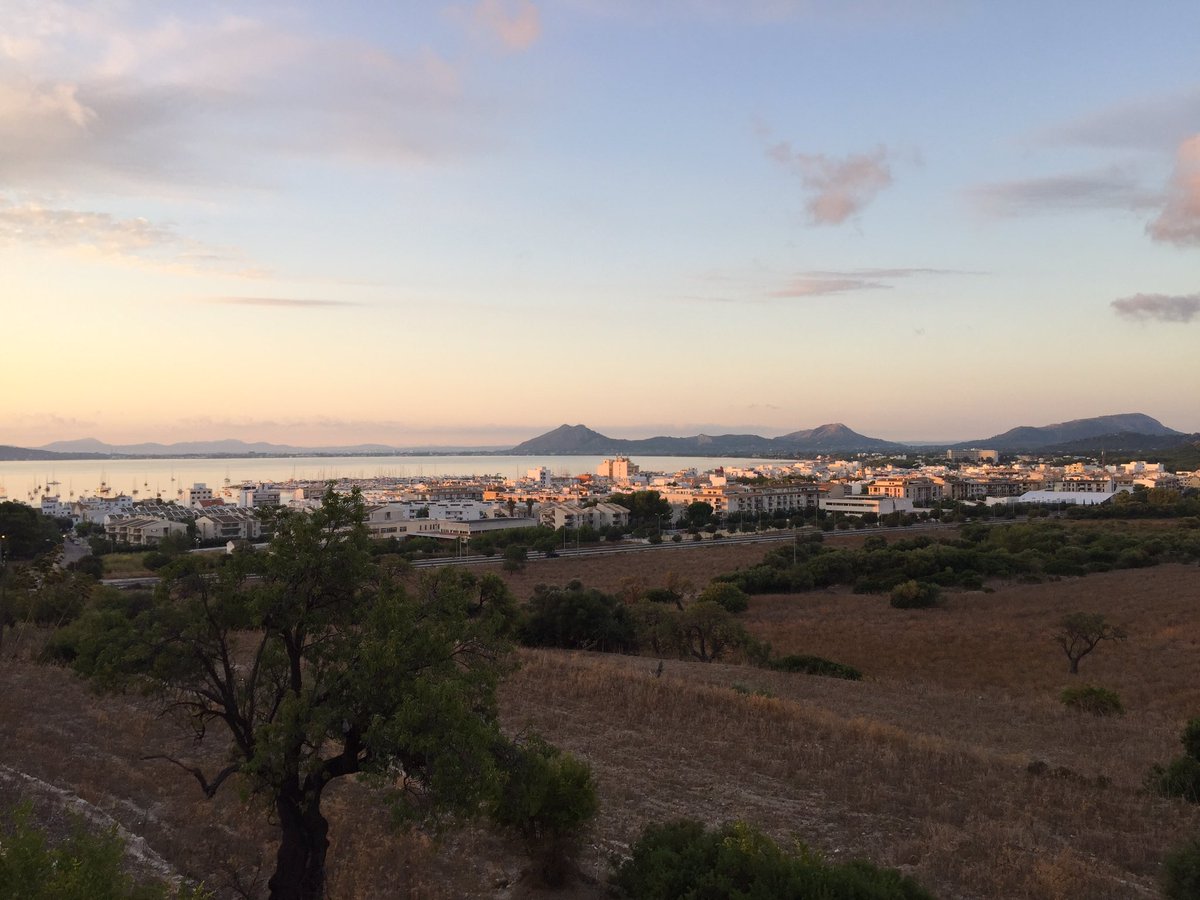 daveliverbirder's tweet photo. Sadly it didn't continue into the #Boquer. Still nice to see a good selection of migrants and endemics/subs #mallorcabirding https://t.co/DlkCB1yTEr
