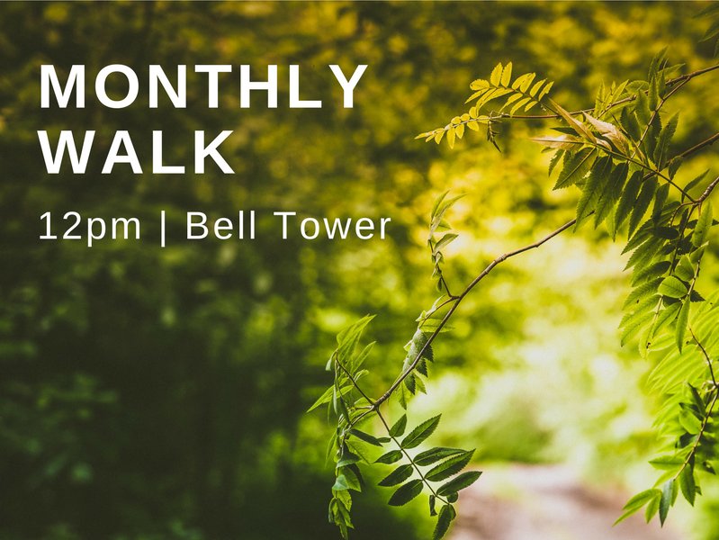 LipscombHealthy's tweet photo. Today's our Monthly Walk! Join us at noon at the Bell Tower to go on a tour of Lipscomb's campus and enjoy the beautiful weather. https://t.co/h9lLpzLjbX