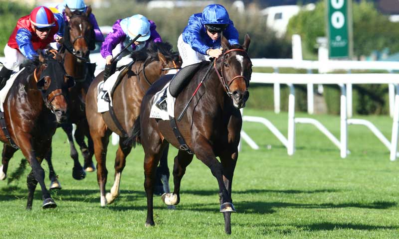 godolphin's tweet photo. 4YO filly #Jollify (A Fabre/@mickaelbarzalon) aims for a second success over 12f at Saint-Cloud in the Listed Prix des Tourelles on Friday https://t.co/G5rXrBh0xB