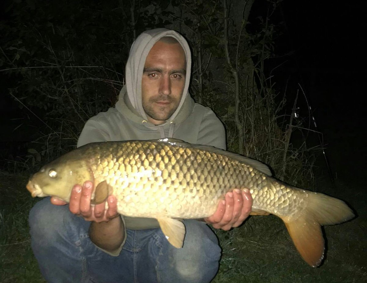 WBMCarpFishing's tweet photo. 3 of 5 from 24 hours at the weekend. All between 10 and 12lb. Dipping my PVA sticks in @Naturesbaits #BloodwormX glug. https://t.co/mj9zhoaCw0