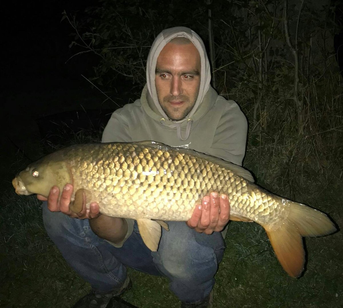 WBMCarpFishing's tweet photo. 3 of 5 from 24 hours at the weekend. All between 10 and 12lb. Dipping my PVA sticks in @Naturesbaits #BloodwormX glug. https://t.co/mj9zhoaCw0