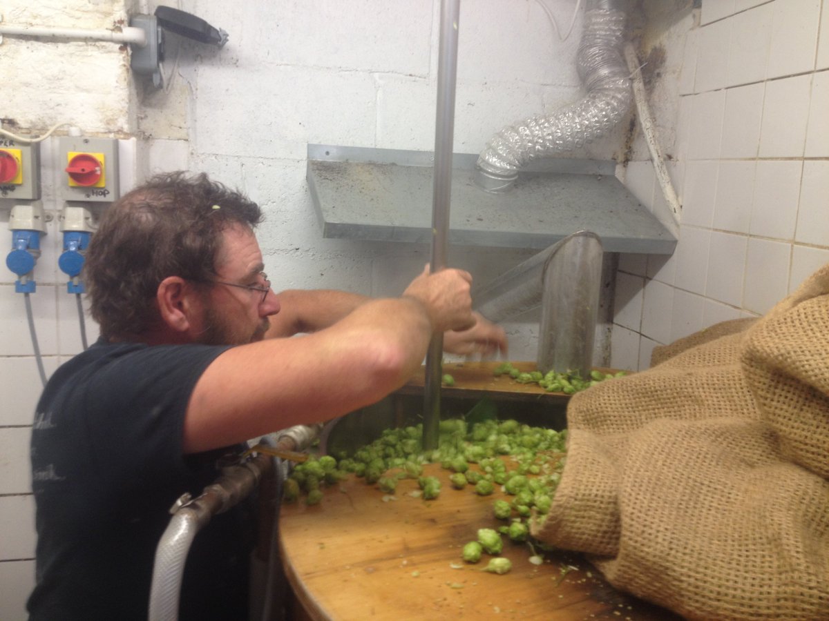 4candlespub's tweet photo. It's Green Hop time again. 1st brew has 20kg of picked at dawn today. Many thanks as ever to our pal Eddie Gadd for getting them for us. https://t.co/MT5MySYLaN