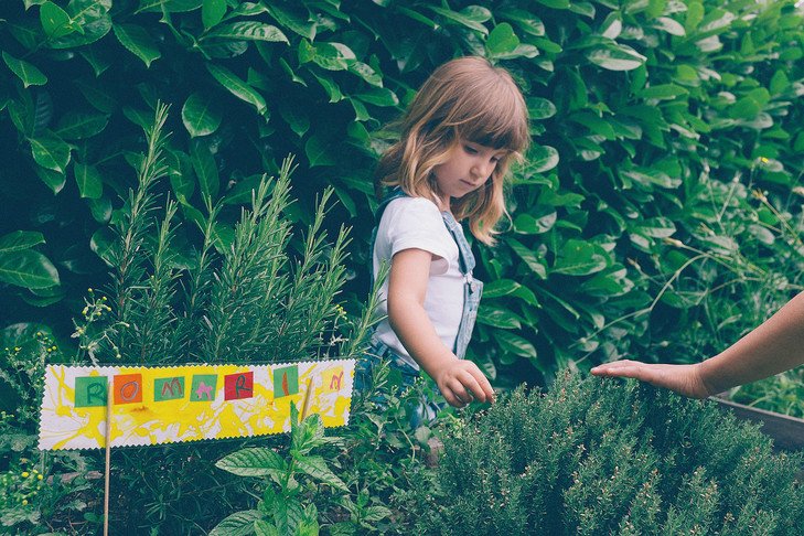 Ce que l'imagerie cérébrale dit du plaisir d'apprendre (ITW d'Olivier Houdé)
la-croix.com/Sciences-et-et…