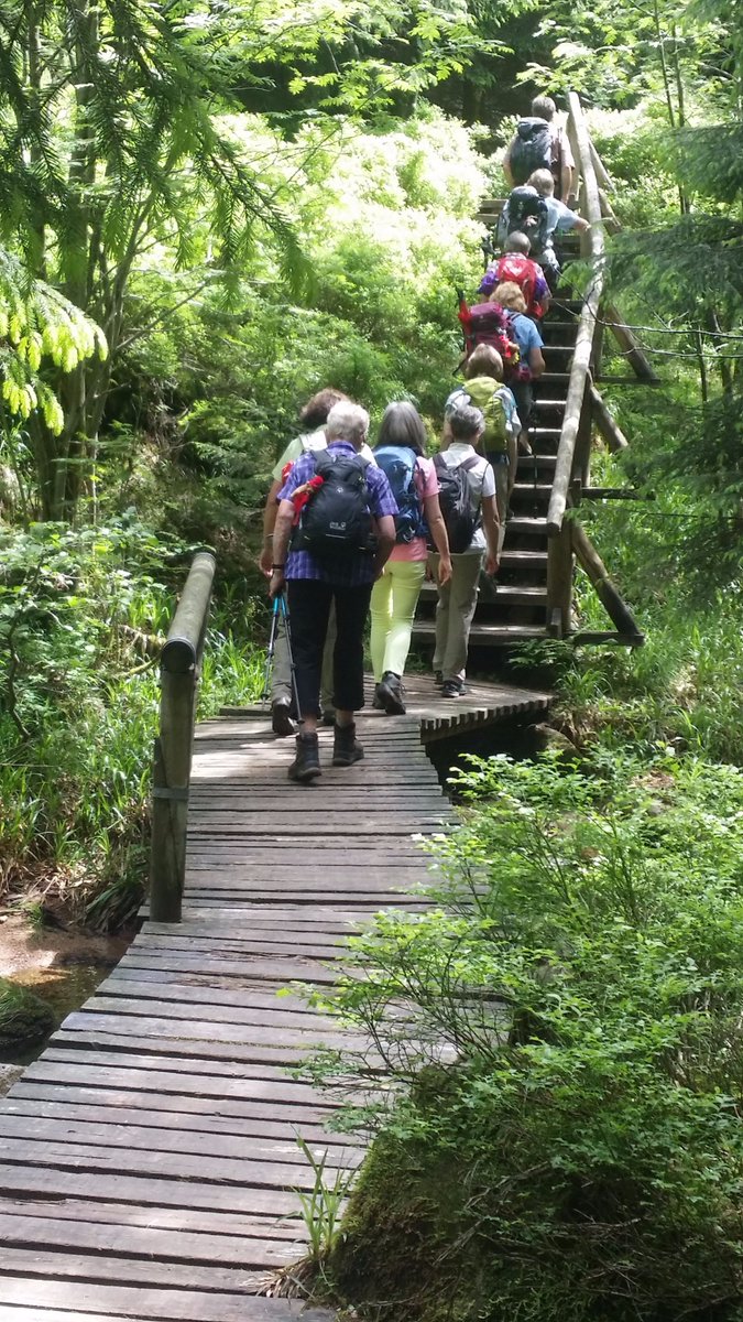 Der #Weg ist das #Ziel. Wir wünschen euch entspannte #Wanderungen in und um #BadHarzburg. #harz #meinNiedersachsen #Natur