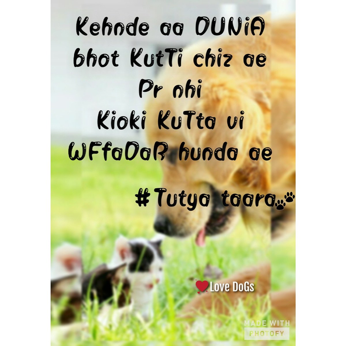 shally000's tweet image. #writing #mythinking #love #dogs #writer #skills #bedrd #world #imagination #photooftheday #petlover 
#Shally
#Tutya_taara