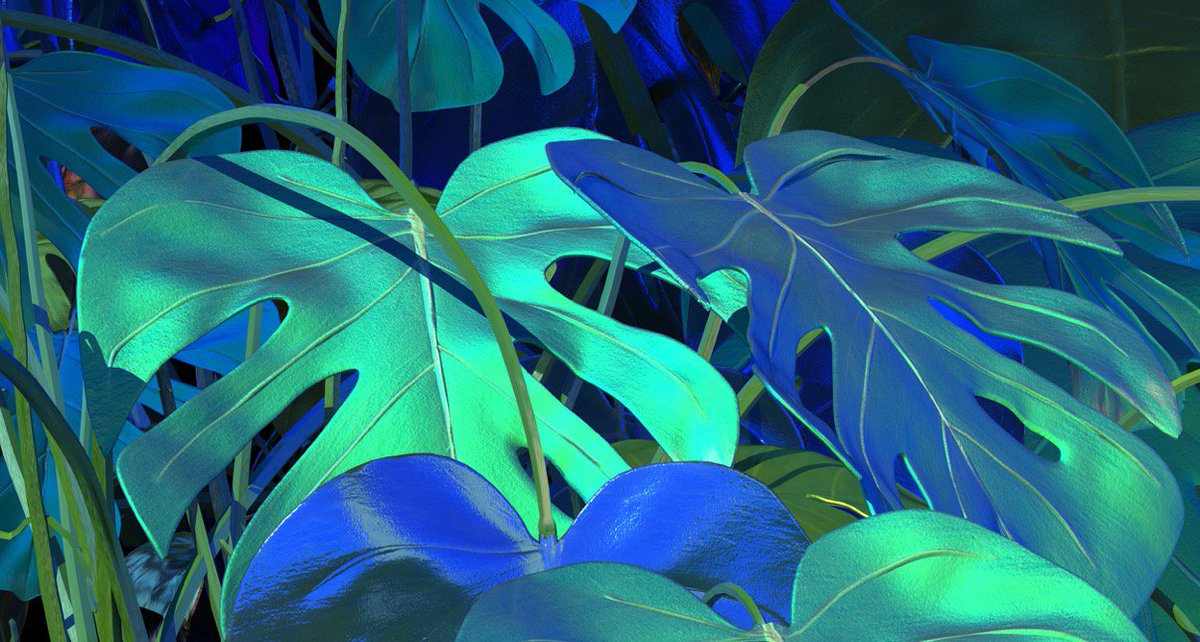 Tomorrow the Let it Grow Concept Store opens in Amsterdam! A place to explore the effects of plants and flowers 🌿🌸 bit.ly/letitgrowcs