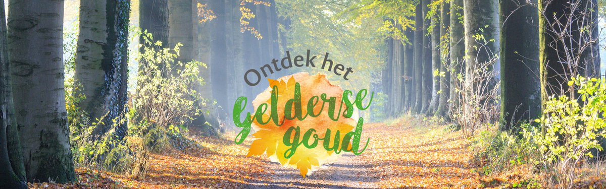Ontdek dit najaar het Gelderse goud met de leukste vlogs, plogs en blogs van een aantal mooie wandelroutes > ow.ly/Trvx30eWJQT