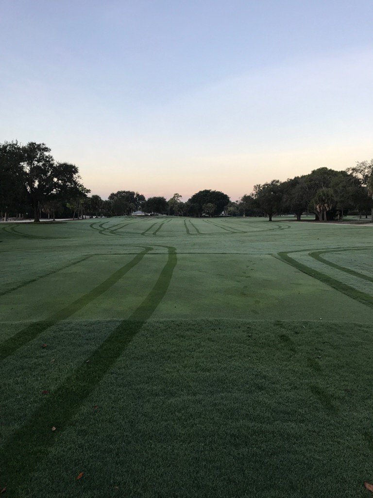Primo time.....<a href="/RYT1604/">Ryan Thorlton</a> @gregfordturf