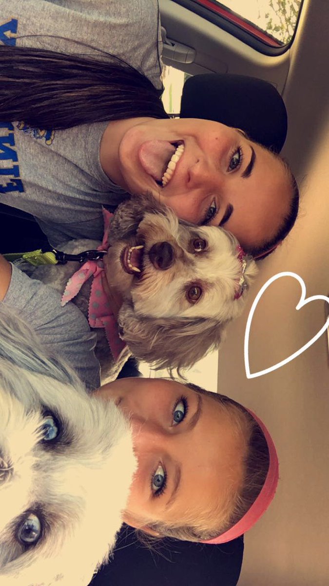 emma_harris11's tweet photo. FACTS ABOUT @julia_fulk
• she's a lover of cats & dogs!
• she loves all kinds of food!
•she's calm when we jet ski!
#FulkYeah #VoteFulkHC https://t.co/bT9PuQ3pS6