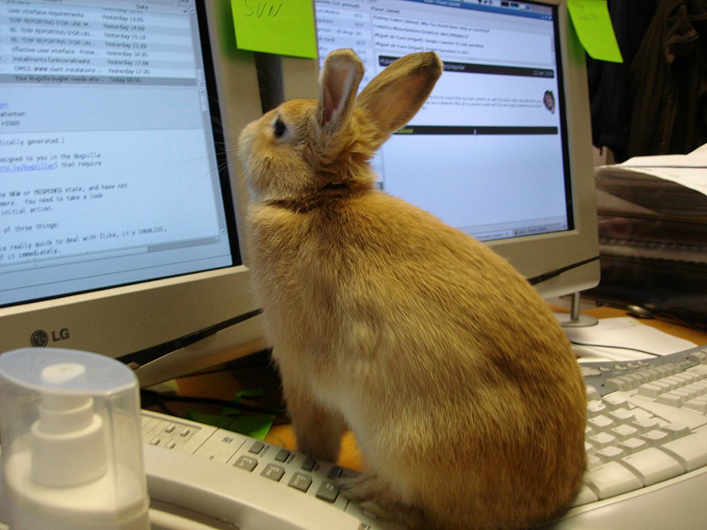 KeyLargoLibrary's tweet image. Tablet/computer class today 1 p.m. ow.ly/a93c30eLx3b