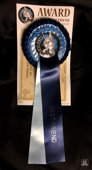 Schnolf's tweet photo. My items from EF are now online on https://t.co/QXJSZJuHox - pins, Awooo shirts, stickers, award ribbons, buttons, stickers... :] https://t.co/NBeJqty1Ui
