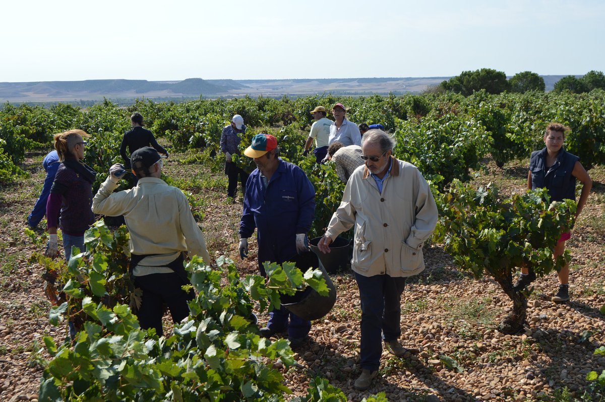 Jesus Pilar Sobejano tweet media