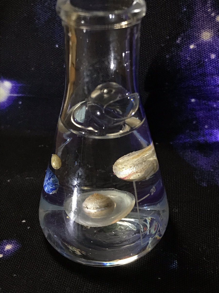 小楠 何時ぞやの 無生物アクアリウム 100均に三角フラスコかあったので移し替えた 理化学機器 かわいいねぇ 小楠 何時ぞやの 無生物アクアリウム 100均に三角フラスコかあったので移し替えた 理化学機器 かわいいねぇ