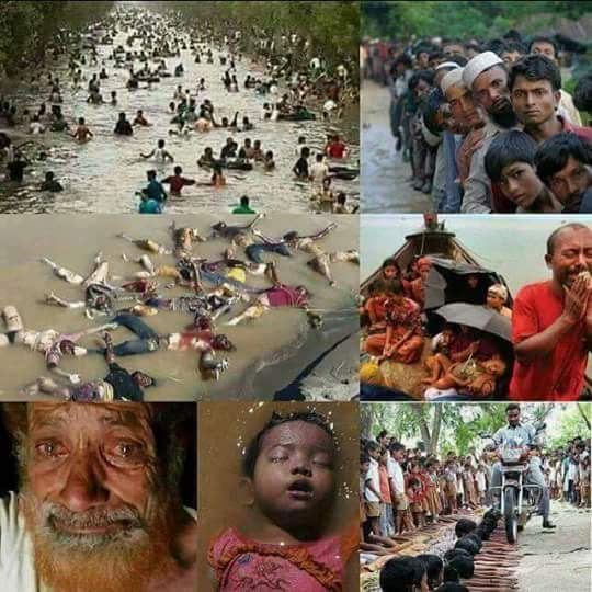 هل تعلم أن مسلمى بورما هم أكثر أقلية مضطهدة فى العالم بحسب تقارير الأمم المتحدة DJCb_v8W0AAjkDe