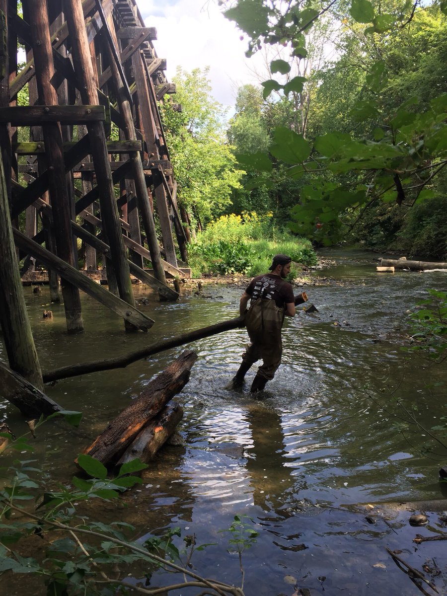 SamBWoodShop's tweet photo. Three days away from the next #RaisinRiver Clean Up! Sat, Sept 9th, 9am-1pm @ Riverside Park @AdrianMI https://t.co/GVtgDWRwPm