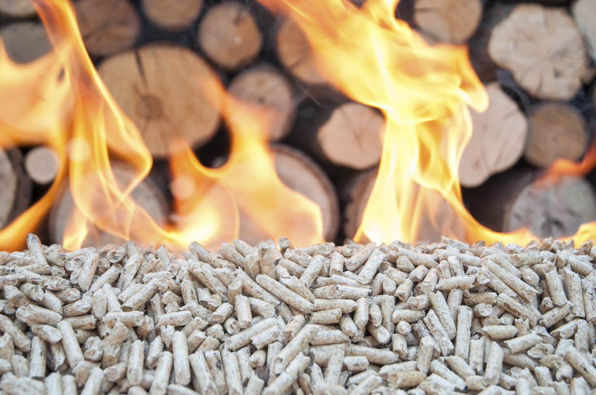 PerthBiofuels tweet picture
