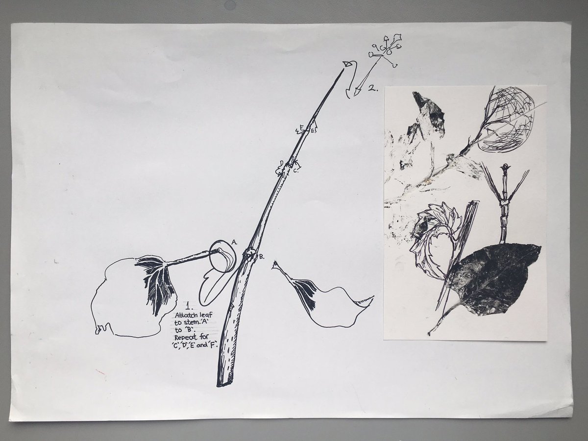 sarahhogan85's tweet photo. Observational studies using mono print and drawing natural forms for construction. #drawingforunderstanding #drawingforconstruction https://t.co/HF6bdLoRhM
