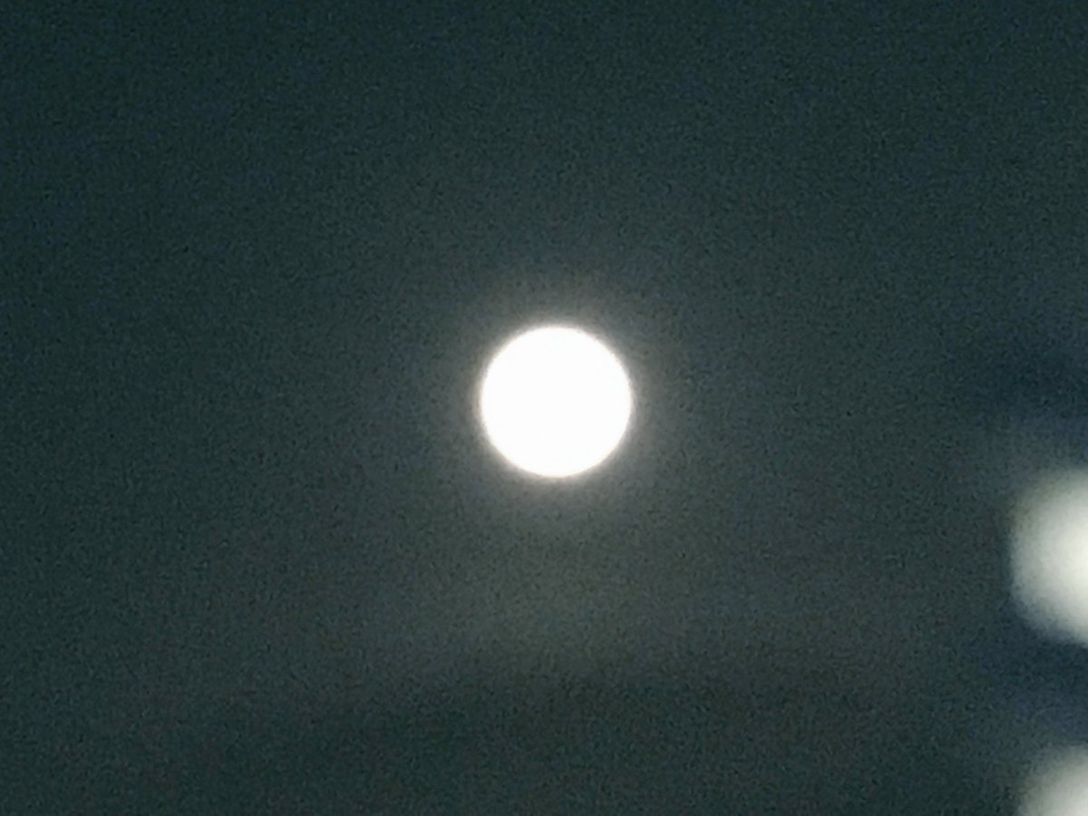 dignafemina's tweet photo. 今日は大きくて綺麗な満月🌕

そして、テレビが壊れた！
でも、家族の誰もブーブー言わないし困ってもいない事にびっくり。

#満月のパワーか
#テレビが無くても過ごせるやん
#はじまりのはじまり
#secretkitchen 
#DignaFemina https://t.co/hilIU9ZF93