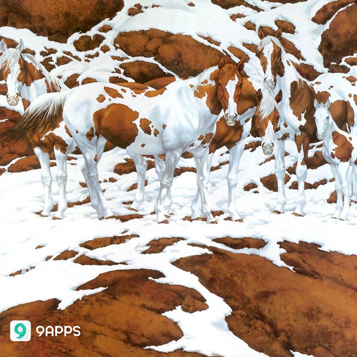 Sambil santai di malam ini, ada yang bisa nebak enggak berapa banyak kuda di dalam gambar berikut?