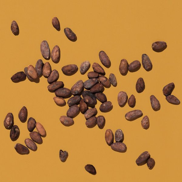 domorichoc's tweet photo. Fermentazione, essiccazione e tostatura permettono alle fave di cacao di sviluppare appieno i propri aromi. #Domori https://t.co/7CLuKPvOYl https://t.co/QKp7kpuAnj