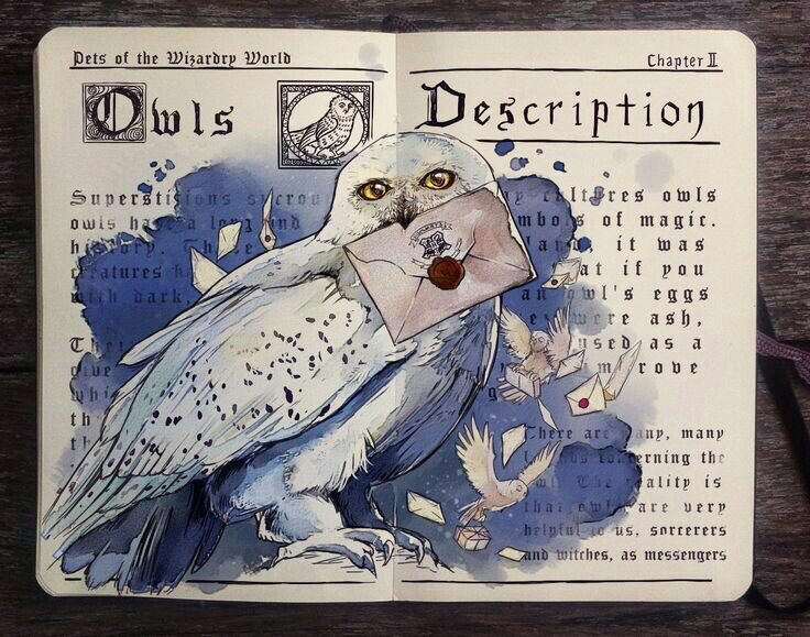 🦉✉️ ᴍᴇɴsᴀᴊᴇʀɪ́ᴀ ᴀɴᴏ́ɴɪᴍᴀ ✉️🦉

┊ɴᴏʀᴍᴀs:┊