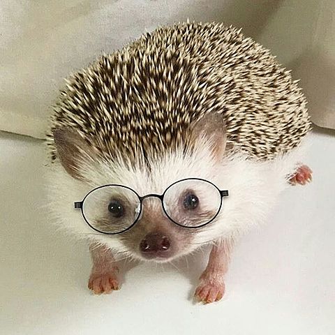 Dan Mondain 🖤❤️ (@mondaindan) on Twitter photo 