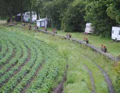 eastlothianlife's tweet image. The development of the #NorthBerwick railway is an interesting one - read more in Issue 101 of East Lothian Life