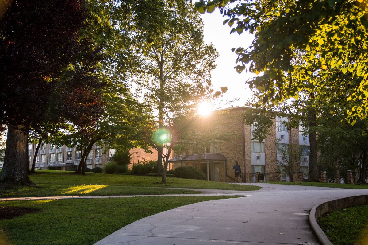 BryanCollege's tweet photo. Good morning, Lions! 🦁 Have a wonderful day! 👍 #captureBryan https://t.co/COh6iFElc6