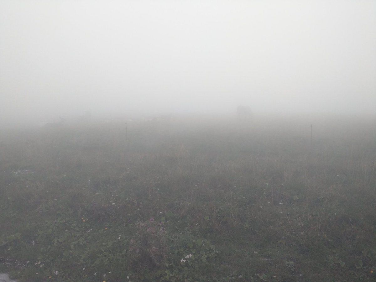 Noninfluente's tweet photo. Asinelli invisibili. #Pizzoc #Pordenone #Veneto #bdc #nebbia #freddissimo #Bianchi #Impulso https://t.co/uYi7e25fmo