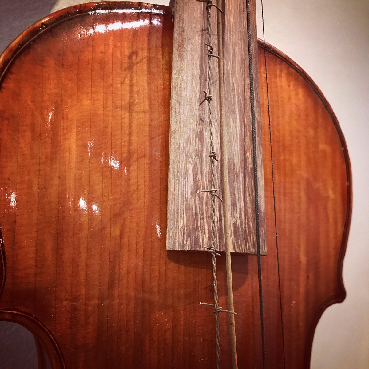 concert_key's tweet image. Barbed wire! #OrchestraProblems #violinista